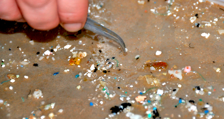 Foto recogiendo restos de microplásticos del suelo.