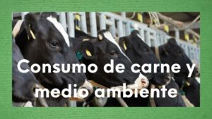 ¿Qué tiene que ver reducir el consumo de carne con el medio ambiente?