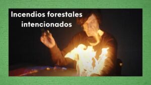 Guardianes de la naturaleza: no más incendios forestales intencionados 13 Guardianes de la naturaleza: no más incendios forestales intencionados