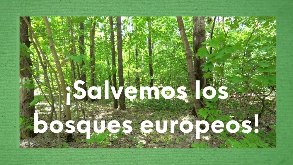 Foto de un bosque con texto "salvemos los bosques europeos"