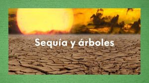 ¿Qué es la sequía y cómo nos afecta?