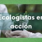imagen sobre ecologistas en acción