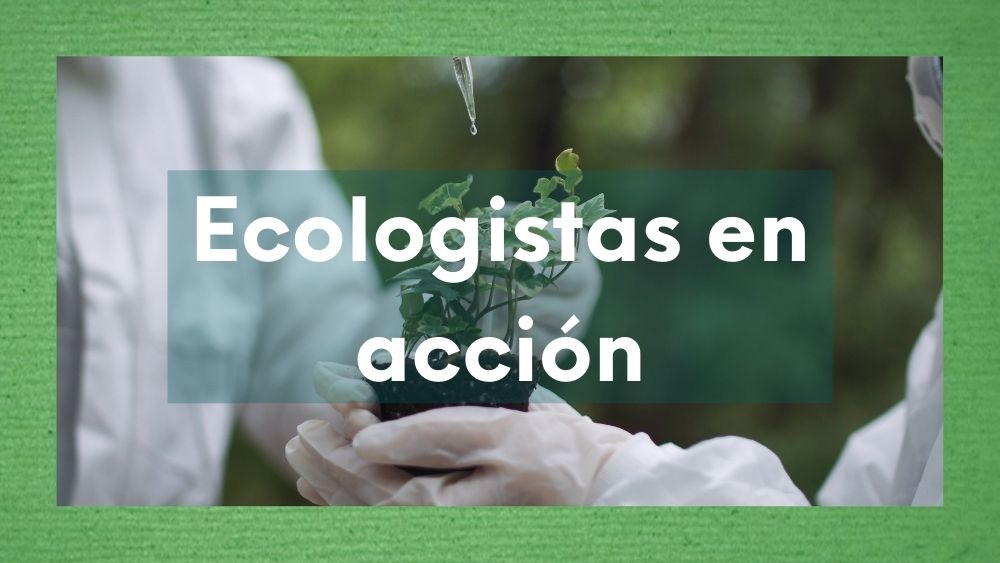 imagen sobre ecologistas en acción