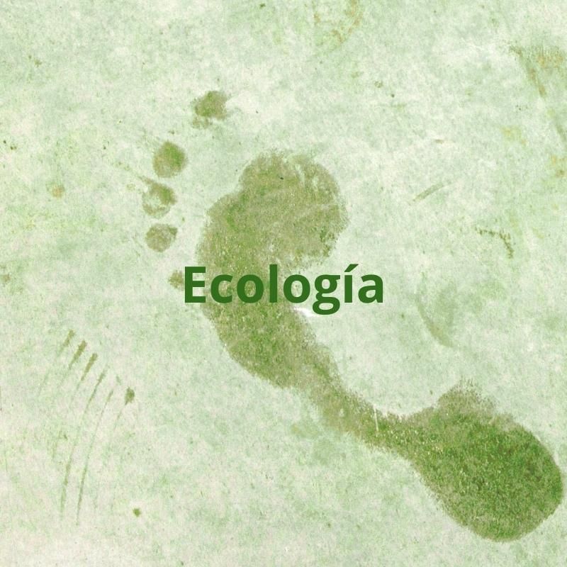Imagen en tonos verdes con una huella de un pie y texto sobre impreso: ecología.