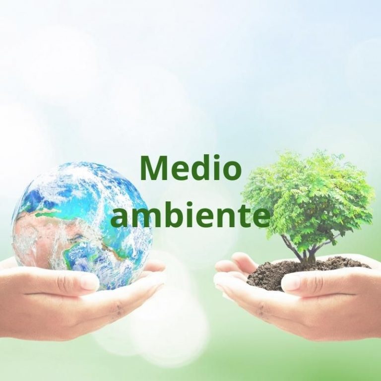 Imagen con un árbol frente al planeta Tierra y ambos sostenidos en las manos, lleva sobre impreso el texto: medio ambiente.