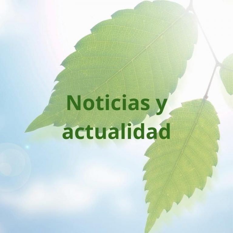 Imagen con un fondo de cielo y un par de hojas verdes, con texto sobreimpreso: Noticias y actualidad.