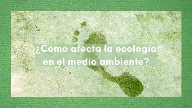 ¿Cómo se relaciona la ecología con el medio ambiente? Una mirada al equilibrio ecológico 52 Imagen con tonos verde y la huella de un pie con la pregunta sobreimpresa: ¿Cómo afecta la ecología en el medio ambiente?