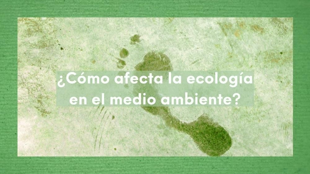 Imagen con tonos verde y la huella de un pie con la pregunta sobreimpresa: ¿Cómo afecta la ecología en el medio ambiente?