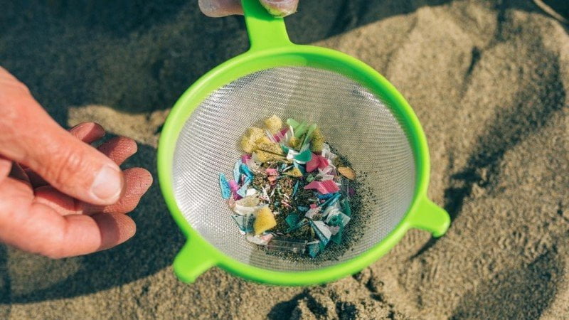 Foto de un colador utilizado para cernir arena y separar los microplásticos.