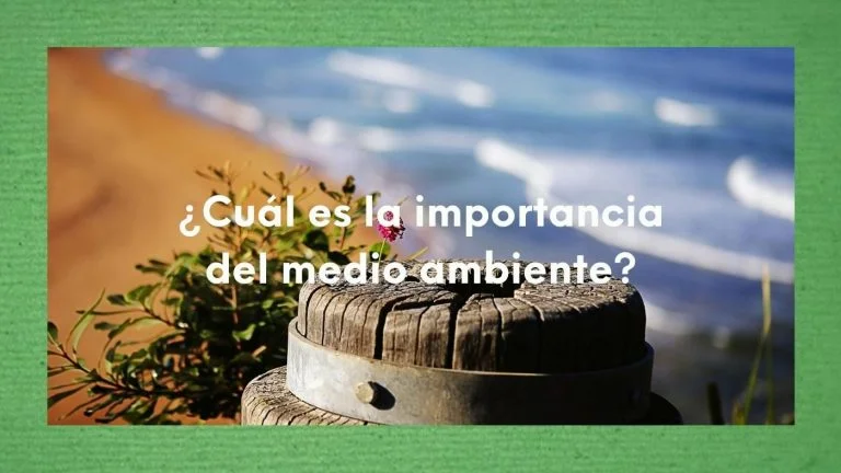 ¿Cuál es la importancia del medio ambiente? ¿Cómo afecta el ambiente en el equilibrio ecológico, la salud y el bienestar? 12 Imagen de un espacio natural en la costa y el mar con la pregunta sobre impresa: ¿Cuál es la importancia del medio ambiente?