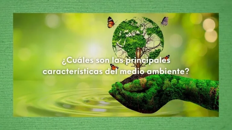 Características ambientales: ¿Cuáles son las principales características del medio ambiente? 11 Imagen de una mano con la piel del color de las hojas, sobre le agua y con una imagen figurativa del planeta Tierra, también como si fuera de hojas verdes. Todo haciendo referencia a las Características ambientales
