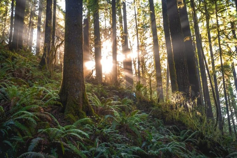 ¿Qué es lo que más contaminan en el mundo?