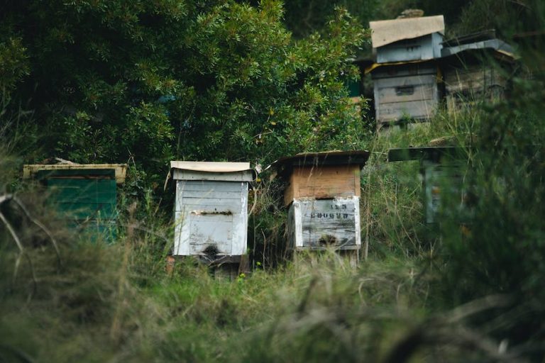 ¿Por qué es importante no contaminar? 65 ¿Por qué es importante no contaminar?