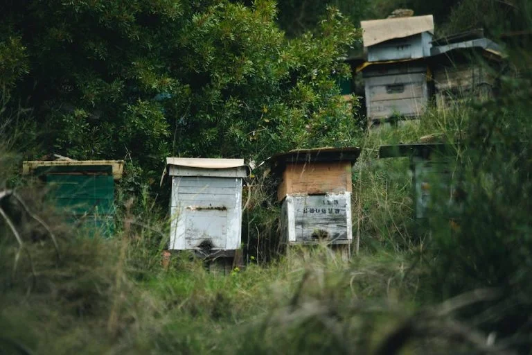 ¿Por qué es importante no contaminar?