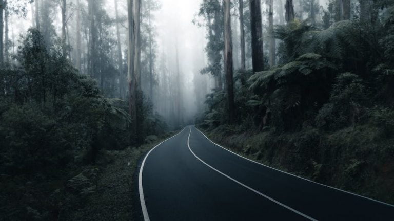 10 acciones para cuidar el medio ambiente: Consejos prácticos y útiles para hacer hoy 16 10 acciones para cuidar el medio ambiente: Consejos prácticos y útiles para hacer hoy