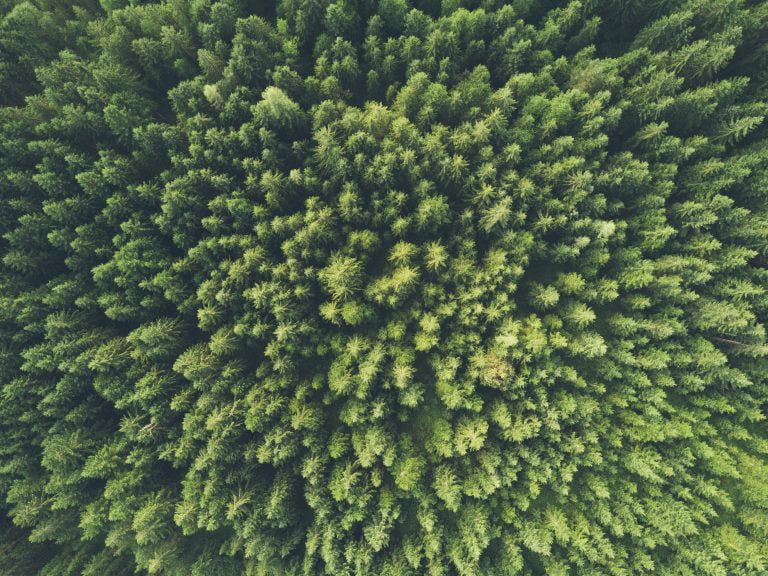 ÂżCuĂĄles son los factores que influyen en el medio ambiente? 22 ÂżCuĂĄles son los factores que influyen en el medio ambiente?