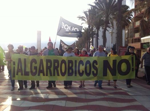 Foto con pancarta de Greenpeace: Algarrobicos, no.