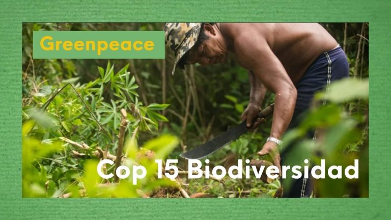 Foto de una persona indígena trabajando en el campo, con el texto sobreimpreso: COP 15 Biodiversidad, en referencia al balance por Greenpeace de la COP15 del Convenio de Diversidad Biológica de la ONU.