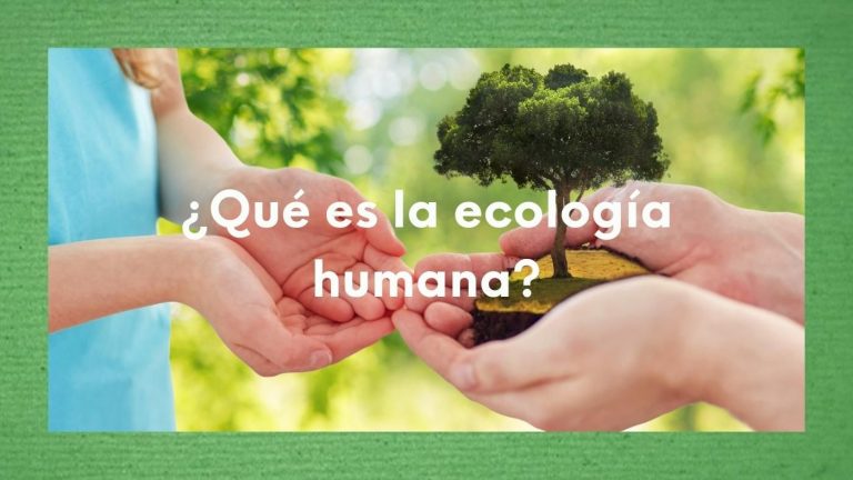 Foto montaje de unas manos pasándose ente sí un árbol, y la pregunta sobreimpresa: ¿Qué es la ecología humana?