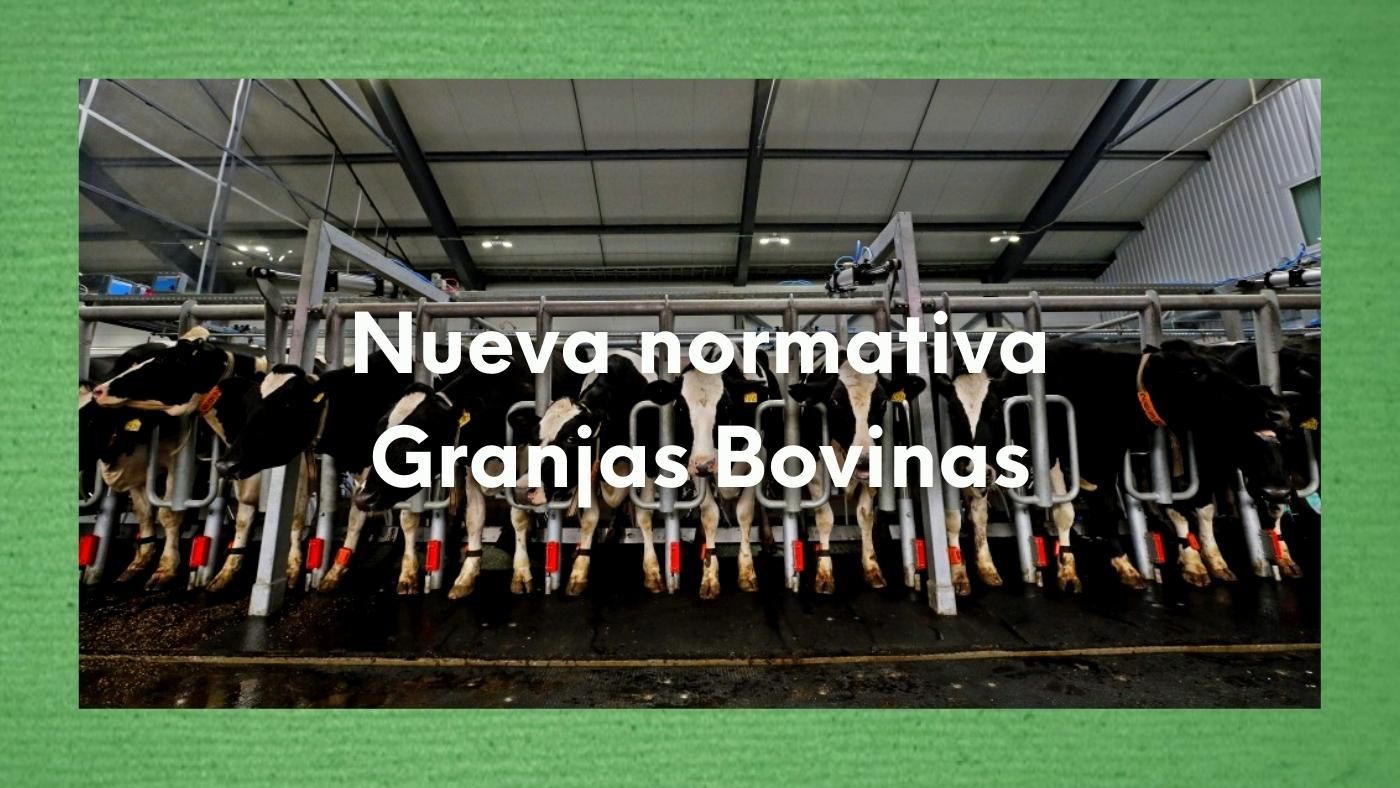 Foto de un macrogranjas con el texto sobre escrito: Nueva normativa Granjas Bovinas