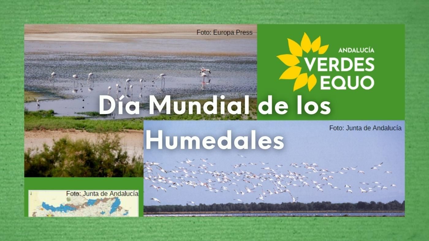 Verdes EQUO pide medidas concretas y contundentes para cuidar de los humedales andaluces » Ola Verde