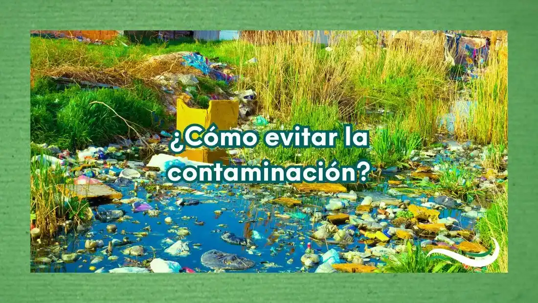ÂżCĂłmo evitar la contaminaciĂłn del medio ambiente? 35 Cuerpo de agua contaminado con desechos plĂĄsticos y basura rodeado de vegetaciĂłn.