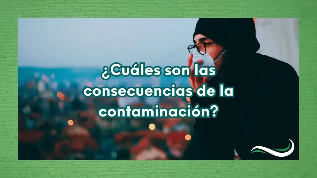 ÂżCuĂĄles son las consecuencias de la contaminaciĂłn? 57 Persona con mascarilla observa una ciudad con contaminaciĂłn ambiental al atardecer.