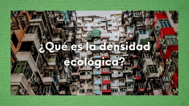 Densidad Ecológica: Una herramienta esencial para diseñar espacios habitables resilientes 47 Foto de unos edificios con una densidad ecológica muy alta.
