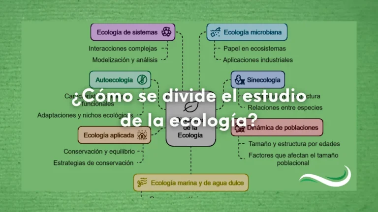 Esquema de la división del estudio de la ecología: ecología de sistemas, ecología microbiana, sinecología, autoecología, ecología aplicada, dinámica de poblaciones y ecología marina.