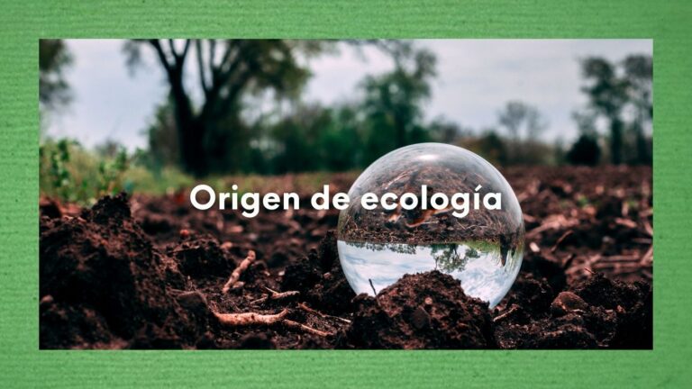 Origen y evolución de la ecología: Desde la antigüedad hasta hoy en día pero, ¿cuándo surge el término "ecología"? 28 Imagen con foto y texto que hace referencia al origen y la evolución de la ecología.