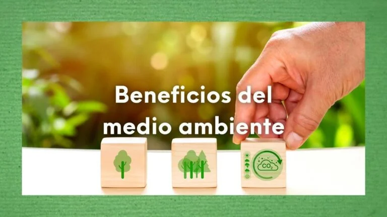 Beneficios del medio ambiente: ¿Cuáles son los beneficios de cuidar el medio ambiente? 21 Foto de una mano colocando cubos de madera con símbolos medioambientales sobre una mesa, haciendo referencia a los beneficios del medio ambiente.