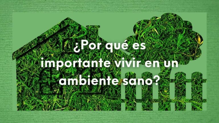 ¿Por qué es prioritario vivir en un ambiente sano? Razones para aplicarlo en nuestra vida diaria 14 Dibujo de una casa hecha con hojas verdes y la pregunta sobre escrita en letras de color blanco: ¿Por qué es importante vivir en un ambiente sano?