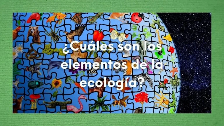 ¿Cuáles son los elementos de la ecología? Aprendiendo sobre los componentes de la ecología 7 Dibujo del mundo como puzle lleno de seres vivos en referencia a cuáles son los elementos de la ecología y los componentes de la ecología.