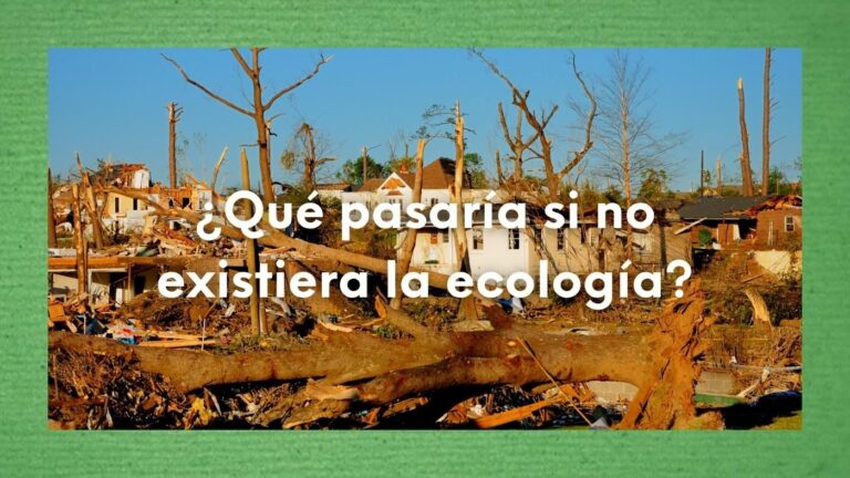 Imagen de casas destruidas y árboles secos con la pregunta sobre impresa: ¿Qué pasaría si no existiera la ecología?