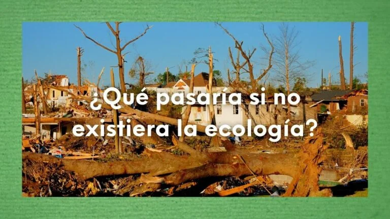 ¿Qué pasaría si no existiera la ecología? Mira los impactos de un futuro sin principios ecológicos 49 Imagen de casas destruidas y árboles secos con la pregunta sobre impresa: ¿Qué pasaría si no existiera la ecología?