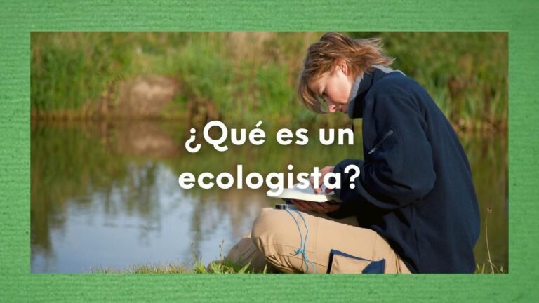 ¿Qué significa ecologista? ¿Qué es un ecologista? Una mirada profunda a los defensores del planeta y del medio ambiente 10 Foto de una ecologista sentada junto a un río con la pregunta sobre escrita: ¿Qué es un ecologista? Dentro del artículo ¿Qué es un ecologista? Entendiendo el papel de los defensores del medio ambiente.