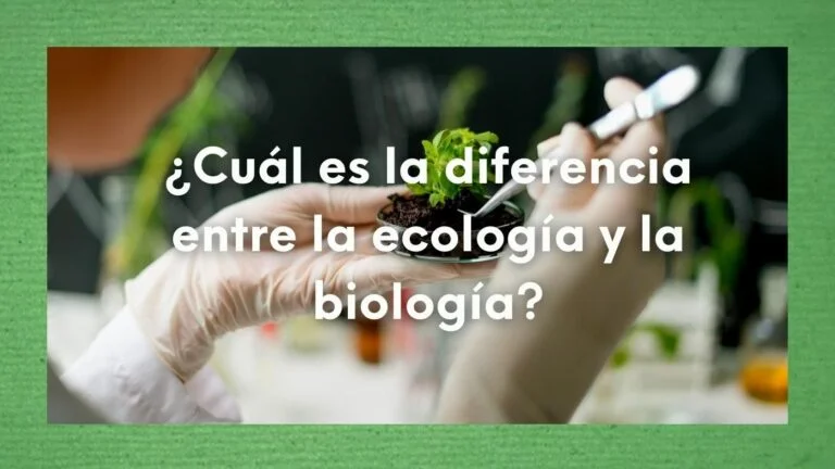 ¿Cómo se relaciona la biología con la ecología? ¿Cuál es la diferencia entre la ecología y la biología? 28 Foto de fondo analizando una planta y la pregunta sobre escrita: ¿Cómo se relaciona la biología con la ecología? ¿Cuál es la diferencia entre la ecología y la biología?