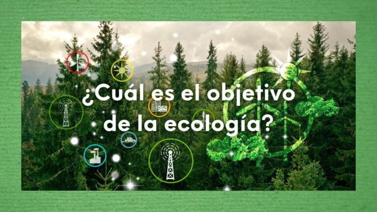 Objetivo de la ecología: ¿Para qué sirve la ecología? 30 Foto editada de un bosque y figuras que hacen referencia a la ecología con la pregunta sobre impresa en letras de color blanco: ¿Cuál es el objetivo de la ecología?
