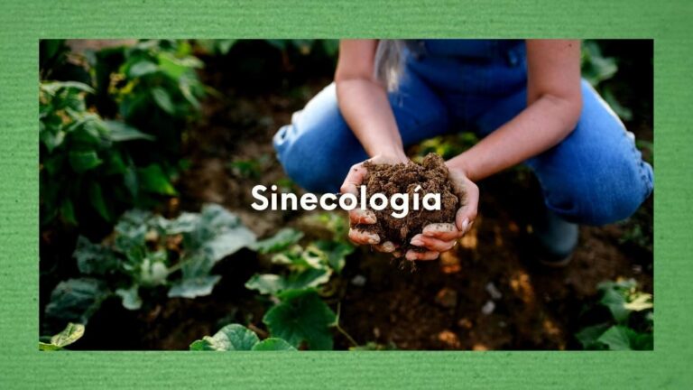 Foto de una persona en el campo con tierra en las manos como símbolo relacionado con la sinecología.