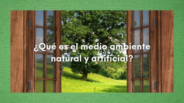 ¿Qué es el medio ambiente natural y artificial? 21 Foto de una ventana de madera abierta con árboles al fondo en referencia a qué es el medio ambiente natural y artificial.