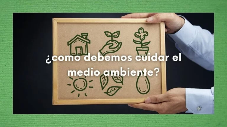 ¿Cómo debemos cuidar el medio ambiente? ¿Cómo preservarlo y protegerlo? 11 Foto de unas manos que sostienen un tablón de anuncios con medidas para preservar el mendioambiente, en referencia a cómo debemos cuidar el medio ambiente, preservarlo y protegerlo.