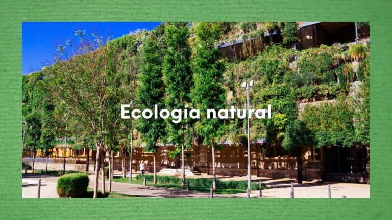 Foto de un edificio de una ciudad bioclimática en referencia a la ecología natural.