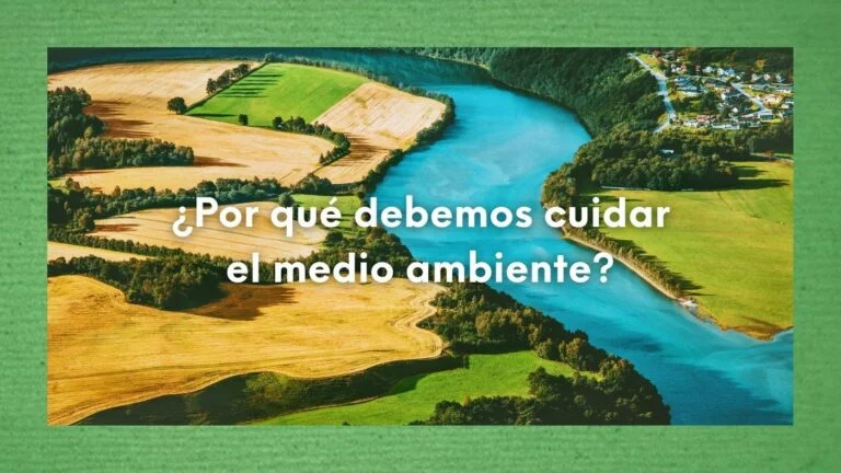 ¿Por qué debemos cuidar el medio ambiente? ¿Por qué es importante proteger el medio ambiente? 23 Foto área de un río en cuyas orillas se ven árboles, a un lado tierras agrícolas y al otro un pueblo en referencia al cuidado del campo porque debemos cuidar el medio ambiente.