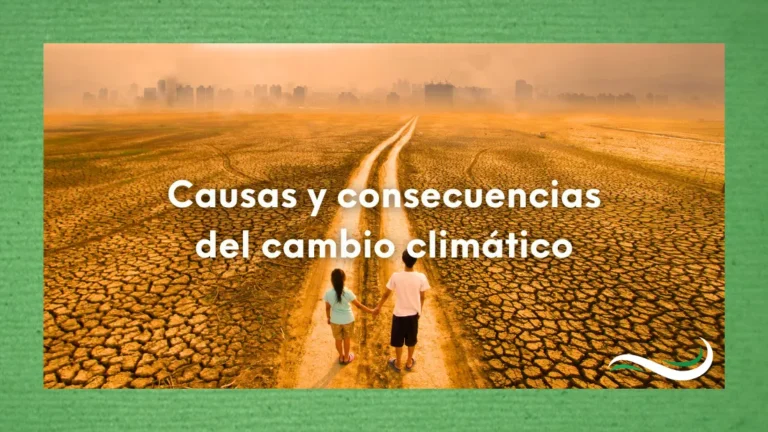 Causas y consecuencias del cambio climático en un lenguaje comprensible para todos 2 Personas caminando en un desierto con tierra seca y ciudad en el horizonte, representando las causas y consecuencias del cambio climático.