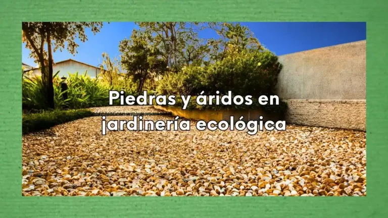 Piedras y áridos en jardinería ecológica: transforma tu espacio verde de forma sostenible