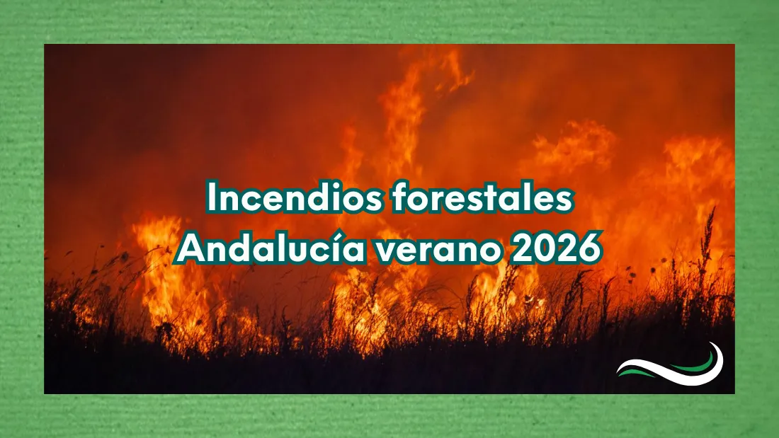 Incendio forestal durante el verano de 2026 en Andalucía, imagen utilizada para ilustrar la propuesta del Partido Verde de reforzar la política forestal y la prevención.